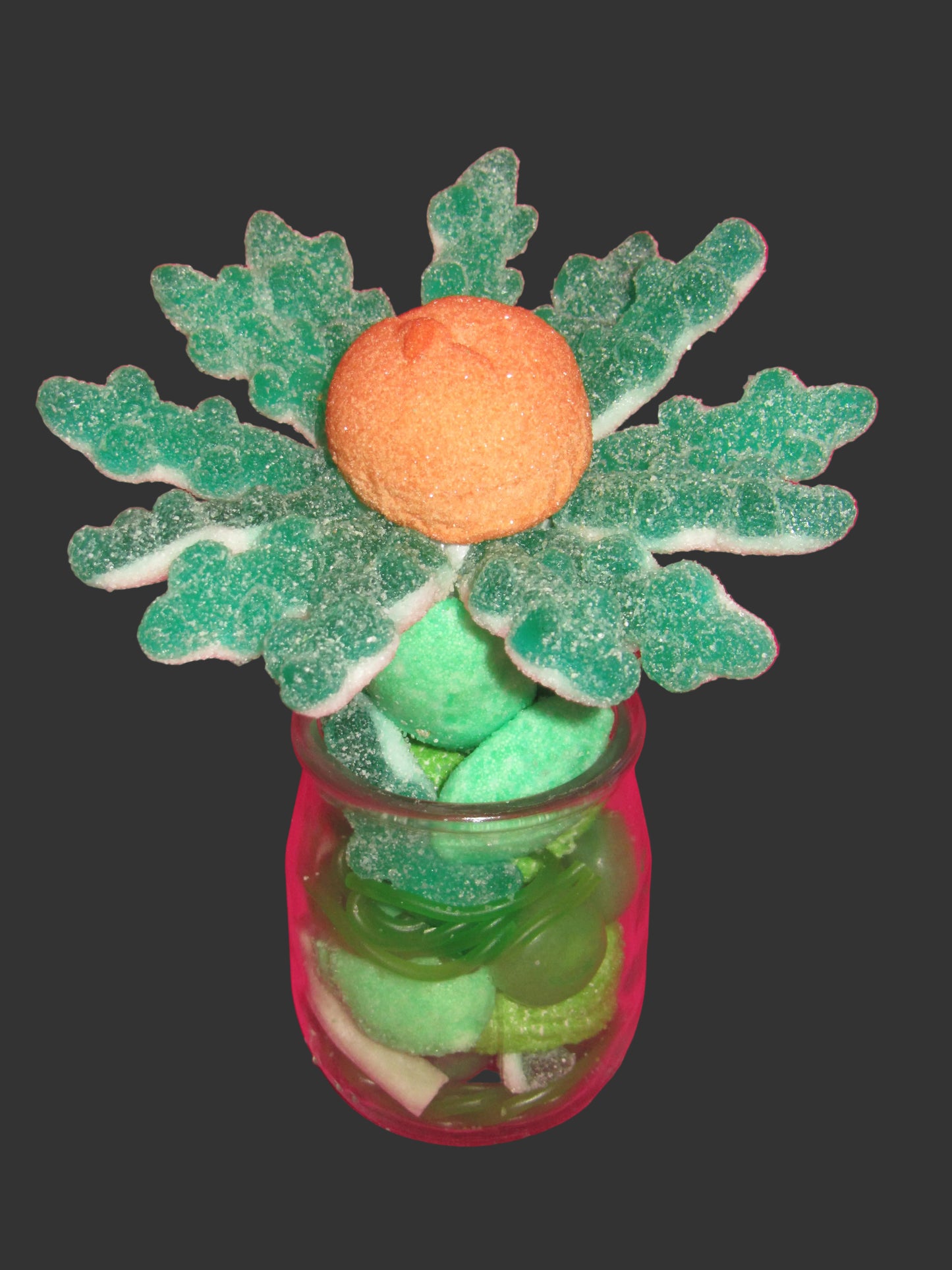 Petites fleurs  individuelles dans son pot