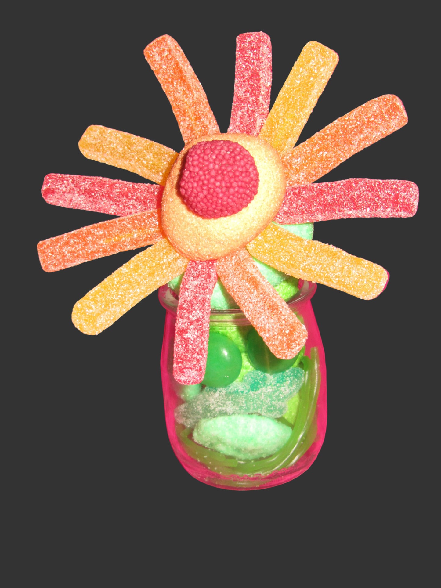 Petites fleurs  individuelles dans son pot