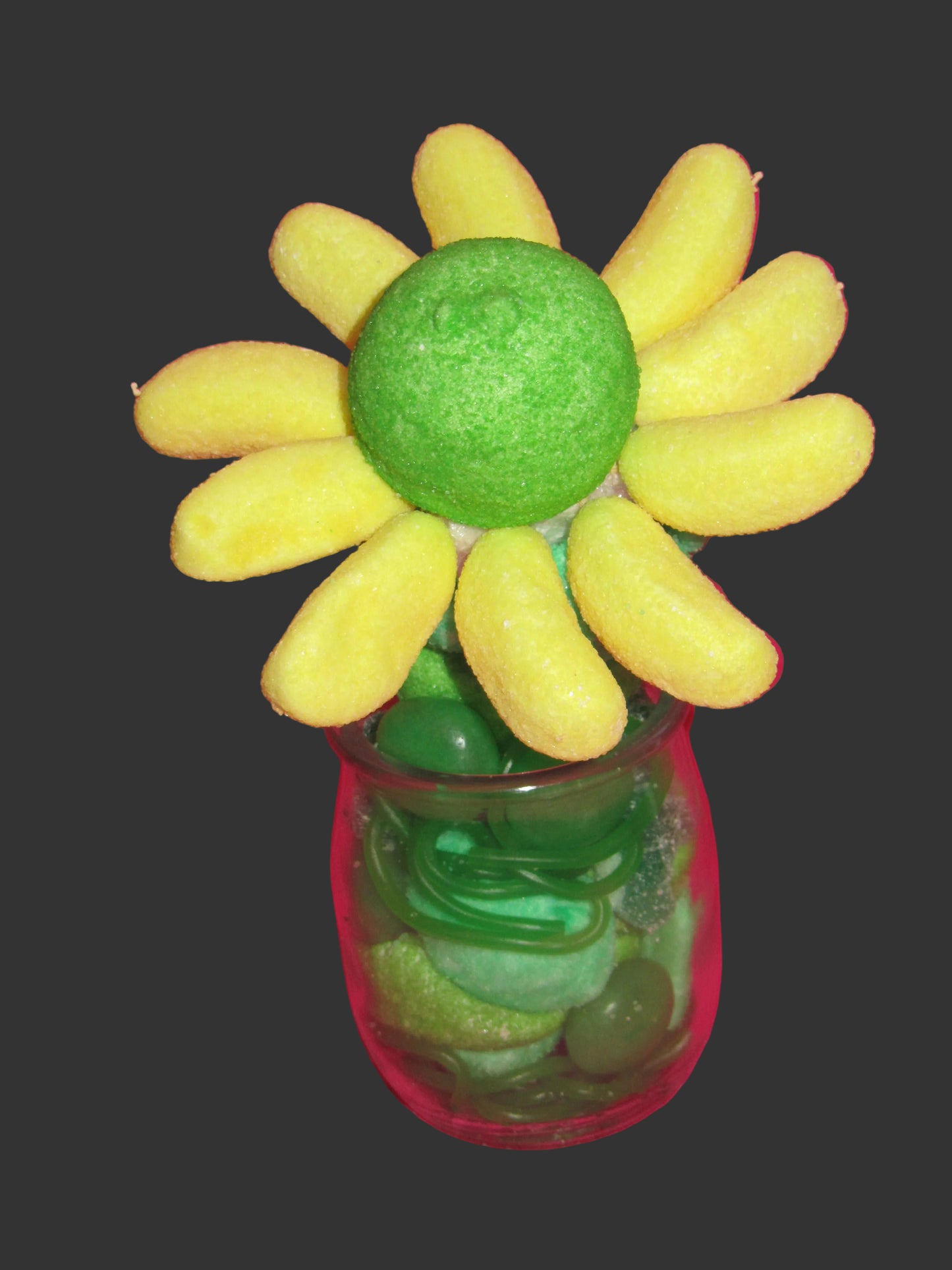 Petites fleurs  individuelles dans son pot