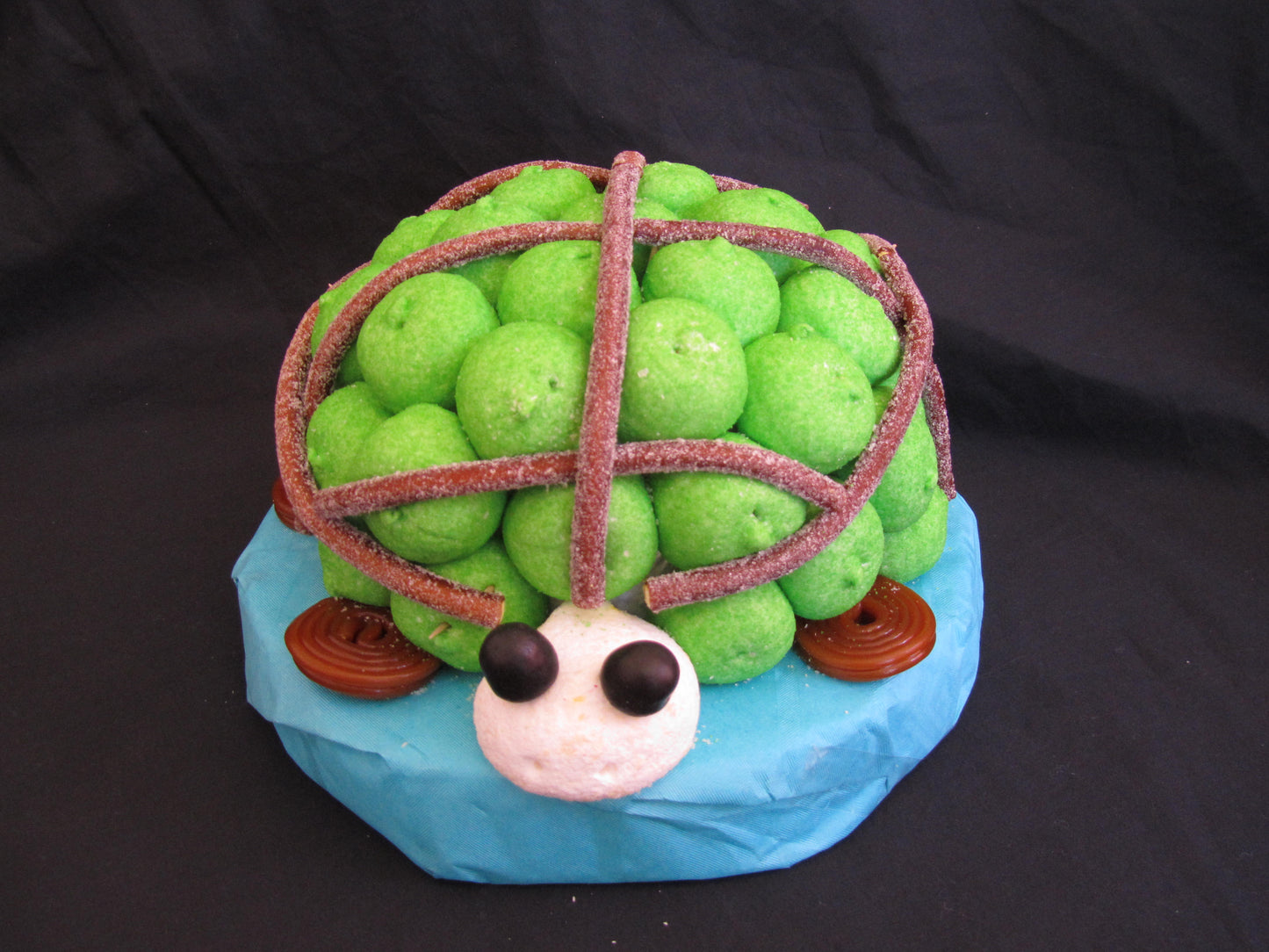 Tortue