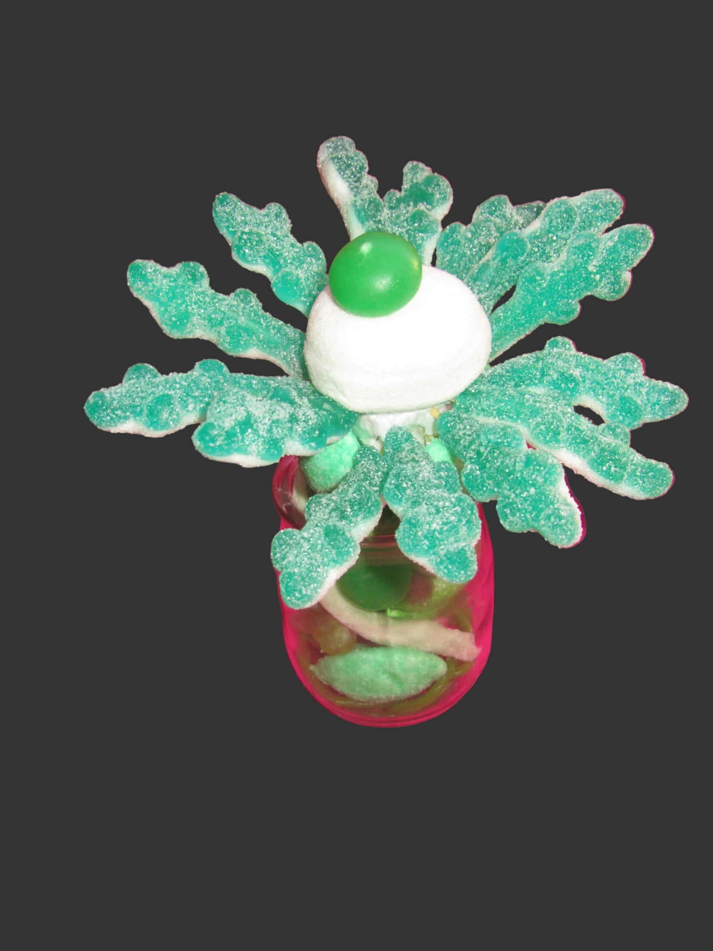 Petites fleurs  individuelles dans son pot