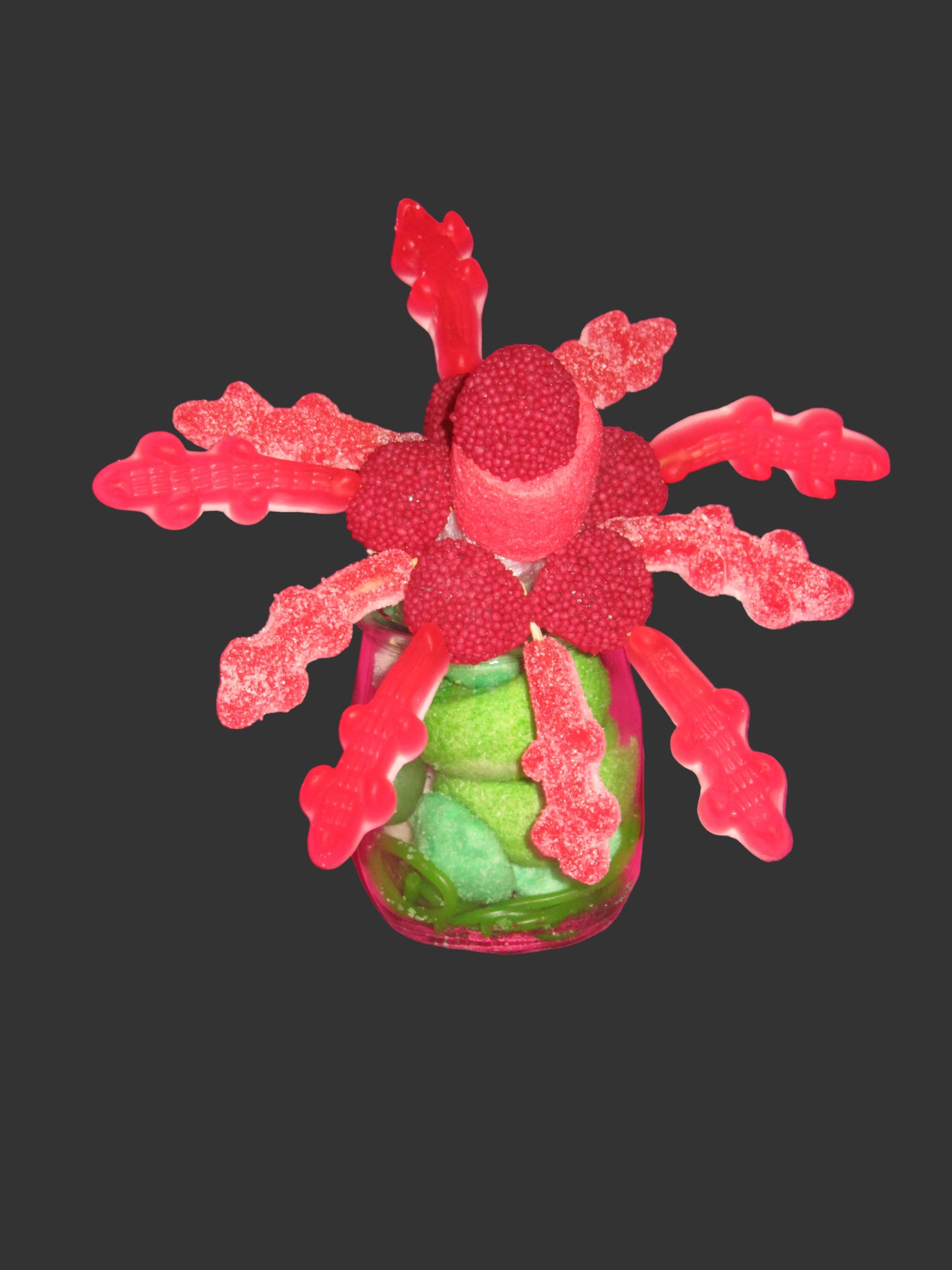 Petites fleurs  individuelles dans son pot